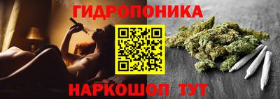 молекула духа Тверь