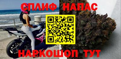 гидра Тара