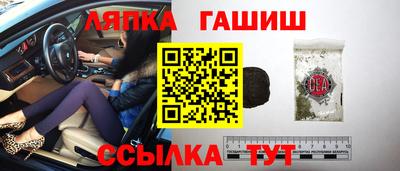 гидра Тара