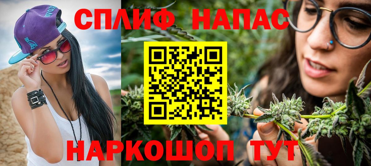 Каннабис планчик Аргун
